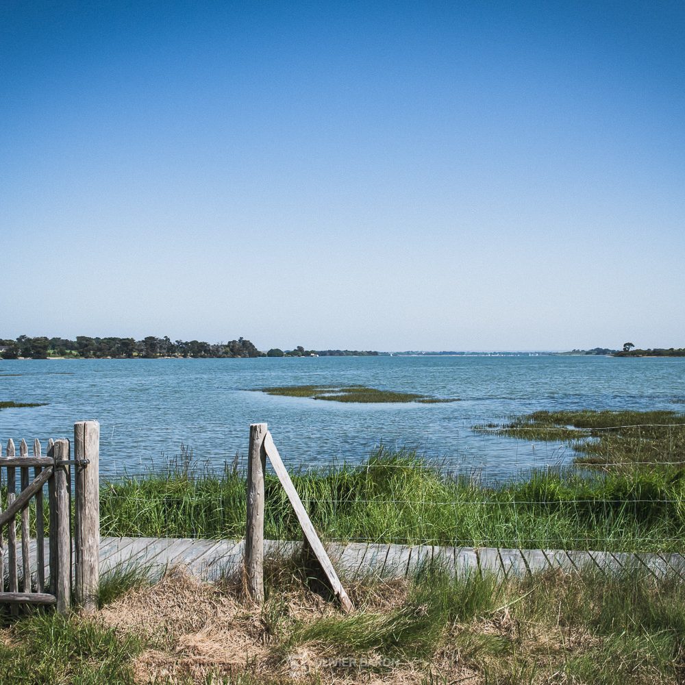 Gaëlle Weddings / Olivier Baron